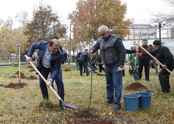 Yerevan Municipality has not ensured the promised green area