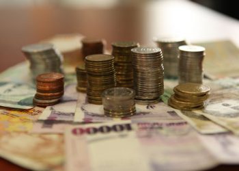 Information on army officers’ salary reduction false