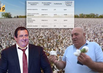 Новые бизнесы Гагика Царукяна. Депутат занимается незаконным предпринимательством?