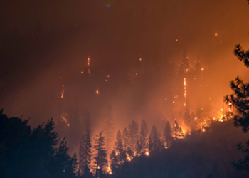 Ամազոն․ կեղծ ու խմբագրված լուսանկարներ են տարածվում