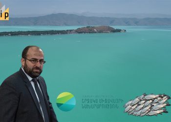 Կողակների վերադարձը Սևան. ինչու ՞ է ուշանում խոստացված ծրագիրը