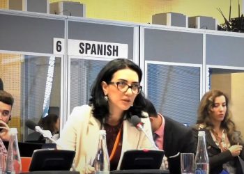 Arpine Hovhannisyan’s manipulative statements at the OSCE meeting