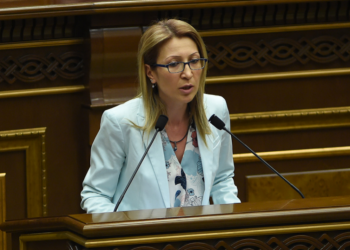 Экономические показатели в постреволюционной Грузии. По следам заявления Мане Тандилян