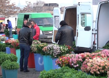 Տեսակ-տեսակ պատմություններ․ Հայաստանի ծաղկի շուկան և կապը ֆուտբոլի հետ