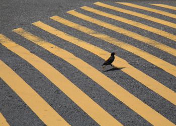 Կանխել վթարները երևանամերձ ավտոճանապարհներին. #REGULATE_TRAFFIC