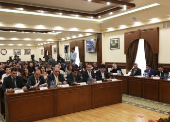 Աջափնյակի թաղապետի խնդրահարույց պարզաբանումը և Fip.am-ի հետաքննության հետևանքները