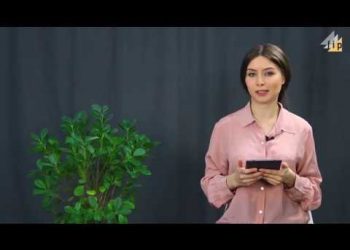 #1 ՓԱՍՏԱՉԱՓ. Կրակոցներից մինչև ինքնասպանություն և երեքտառանիներ