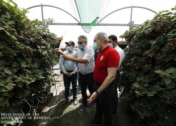 Տոկոսներ ավել-պակաս․ միրգ-բանջարեղենի մասին վարչապետի գրառումը ճիշտ է, բայց մասամբ