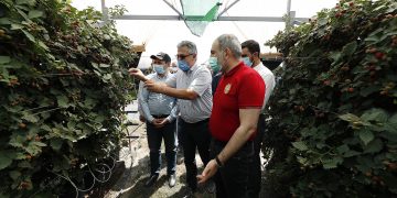 Տոկոսներ ավել-պակաս․ միրգ-բանջարեղենի մասին վարչապետի գրառումը ճիշտ է, բայց մասամբ