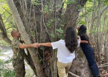 «Սոսու՞», թե՞ «Սոսիների պուրակ»․ որտե՞ղ է եղել Ալիևը և ինչպես է դա հիմնավորվում մետաղով կամ թղթով