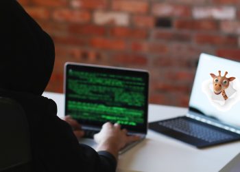 Globbing did not ensure the security of customers’ personal data: cyber attack or a leak? 
