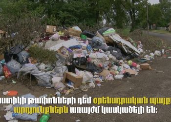 Ինչպես պայքարել պլաստիկի դեմ՝ խթանել պլաստիկի օգտագործումը