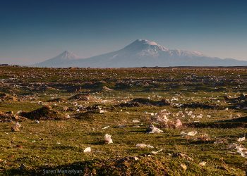 Պլաստիկի թափոնների կրճատմանը միտված օրենքի ընդունումից հետո պլաստիկի արտադրությունն ու սպառումը աճել է