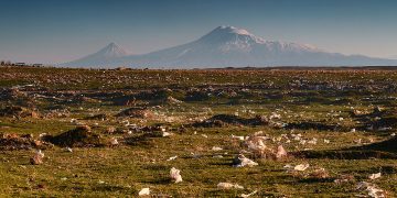 Պլաստիկի թափոնների կրճատմանը միտված օրենքի ընդունումից հետո պլաստիկի արտադրությունն ու սպառումը աճել է