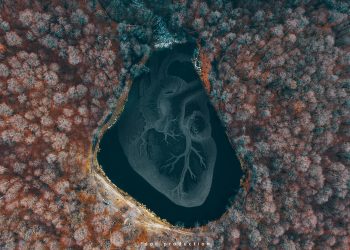 «Անձի ինքնակատարելագործում» էջը կեղծում է. տարածվող լուսանկարը ֆոտոշոփի հետևանք է, հեղինակը հայտնի է