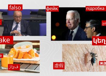 #InterCheck. Ի՞նչ է «շնչում» գերմանացի պատգամավորը