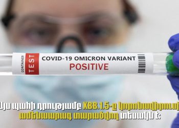 Ինչ է հայտնի կորոնավիրուսի «Կրակեն» XBB.1.5 ենթատեսակի մասին