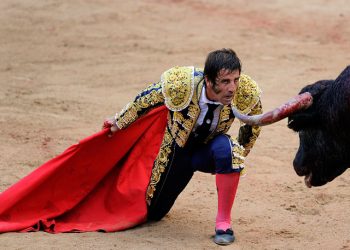 Արդյո՞ք ցլերը կատաղում են կարմիր գույնից․ տարածված համոզմունքի հետքերով