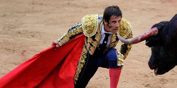 Արդյո՞ք ցլերը կատաղում են կարմիր գույնից․ տարածված համոզմունքի հետքերով