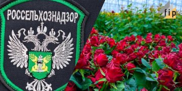 Հայաստանից ծաղիկների արտահանման փշոտ ճանապարհը