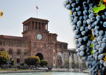 ՌԴ-ում ակցիզային հարկի ավելացումը հայ խաղողագործներին  խնդրի առաջ է կանգնեցրել