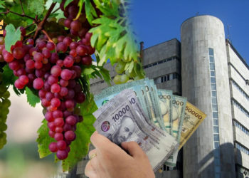 Չհաշվարկված ռիսկ․ «Հայ-Ալմաստ» ՓԲԸ-ի բյուջետային վարկի պատմությունը