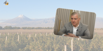 Միայն Արմավիրի և Արարատի մարզերում մշակվում է հողերի 25-30 տոկոսը․ Սամվել Կարապետյանի պնդումը չի հաստատվում
