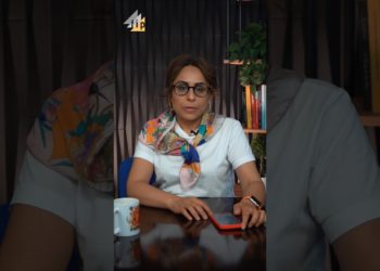 #1 «Հասկանալ FIMI-ն». Ի՞նչ է FIMI-ն