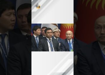 Հայաստանը ավելի շատ գումար է փոխանցում ԵԱՏՄ մաքսատուրքերի համակարգ, քան ստանում