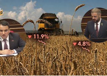 Գյուղատնտեսության անկումը՝ «մինչև 10», թե՞ 4.8%․ Նարեկ Կարապետյանը հղում է արել հին տվյալի